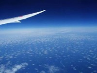 機内から