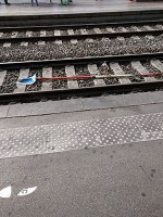 フランスの闇の部分(2)