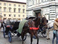 馬車