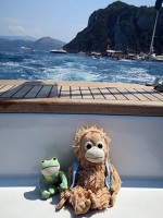 青い海！遠くにヴェスヴィオ火山が見えました
