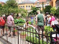 植物園