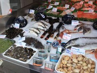 今日だけで2軒のお魚屋さんを見た