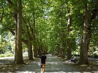 ネッカー川湖畔の遊歩道
