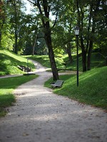 ツェーシスの公園
