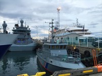 海岸沿いを散歩