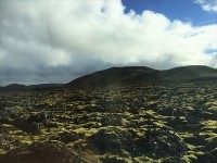 広いな～～～　背の高い植物が生息していません。　一面苔の大地。