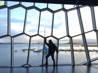 ハルパコンサートホール