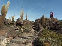 インカ・ワシ島 － 湖畔の人々が一年に一度、神々と交信するため訪れる聖なる島。