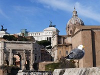 ローマの繁栄を支えたフォロ・ロマーノ