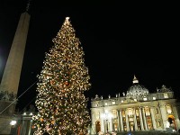 バチカンには高さ30mを越すクリスマスツリー！