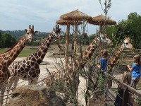 プラハ動物園にて