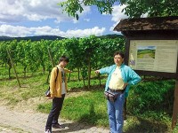 エーベルバッハ修道院　ワイン畑