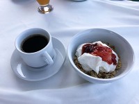 お気に入りのギリシャヨーグルト