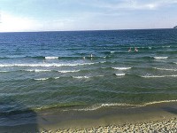 黒海