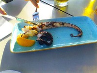 蛸料理