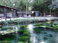 川の向う側は動物が居ます