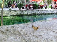 動物達が居る場所からは、こう見えます