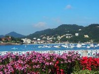 コンチャ海岸：花と海