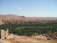 View Oasis