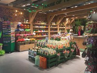 チューリップ等の球根を売っているお店。いかにもオランダっぽい。