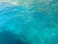 この辺りは特に海水の透明度が高く、魚が沢山泳いでいるのが確認出来ます。
