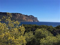 真っ青な空と海に緑の木々、遠くに見えるヨット。。。本当に美しい。