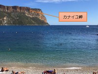 ここを目指します。