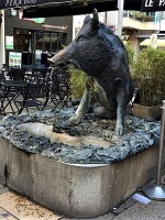 (13) Fontaine au Sanglier