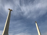 ちょっと見せた青空
