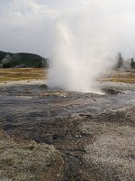 イエローストーン国立公園：オールド・フェイスフル間欠泉
