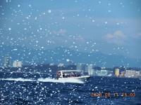 サピ島