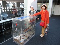 空港にて＝スイスフランを寄付ボックス・お役に立ちますように！