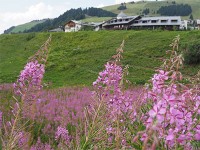 宿泊ホテル付近の風景
