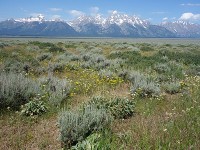 Antelope Flats Rd-9