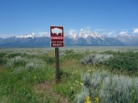 Antelope Flats Rd-10(動物注意）