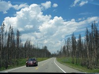 Grand TetonからYellowstoneへ-2