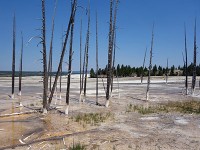 Lower Geyser Basin