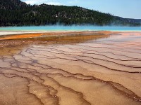 Prismatic Spring-1