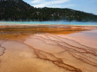 Prismatic Spring-2