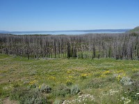 Yellowstone Lake 遠望-1