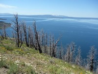 Yellowstone Lake 遠望-2