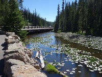 大陸分水嶺(Isa lake)-3