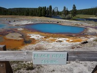 Upper Geyser Basin-1