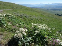 Grand Loop RdからLarmar Valley遠望-1