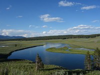 Hayden Valley