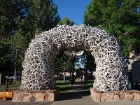 Jackson Hole-公園