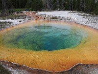 Morning Glory Basin