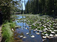 Isa lake