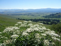 Lamar Valley方面遠望