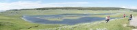 Hayden Valley全景